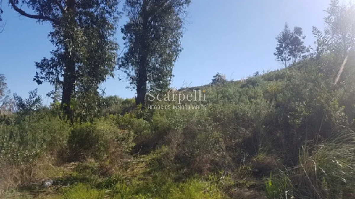 Terreno ID.50698 - Venta Terreno 25.000 M² Cerro San Antonio, Piriápolis