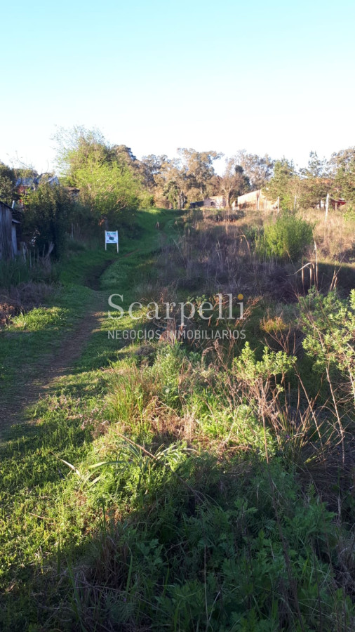 Terreno ID.50485 - Venta Gran Lote Terreno con frente calle Altivo Esteves proximo Shopping Siñeriz 