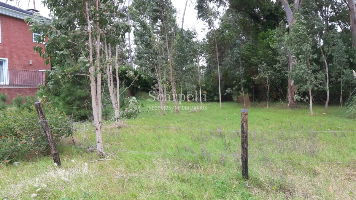 Terreno ID.10545 - Oportunidad Terreno en Parada 8 de La Mansa inserto en Vecindario de Gran Categoría