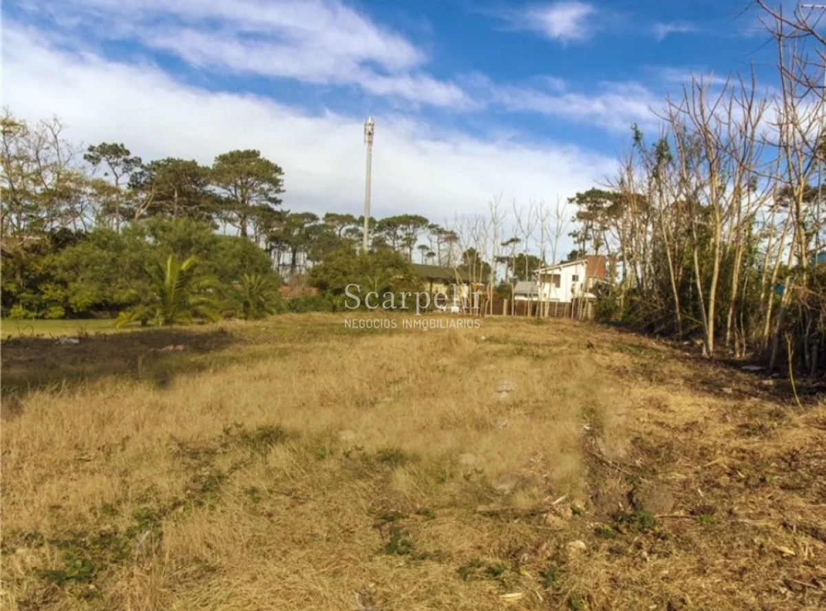 Terreno ID.12616 - Pinares Parada 32 Mansa: Terreno sobre Camino La Laguna  Orientado al norte y muy cerca de la Rambla