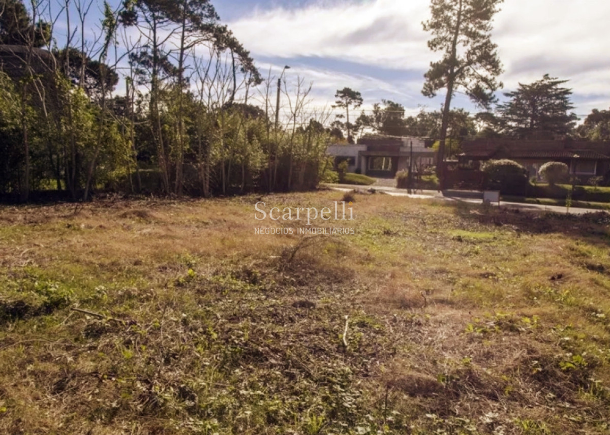 Terreno ID.12616 - Pinares Parada 32 Mansa: Terreno sobre Camino La Laguna  Orientado al norte y muy cerca de la Rambla