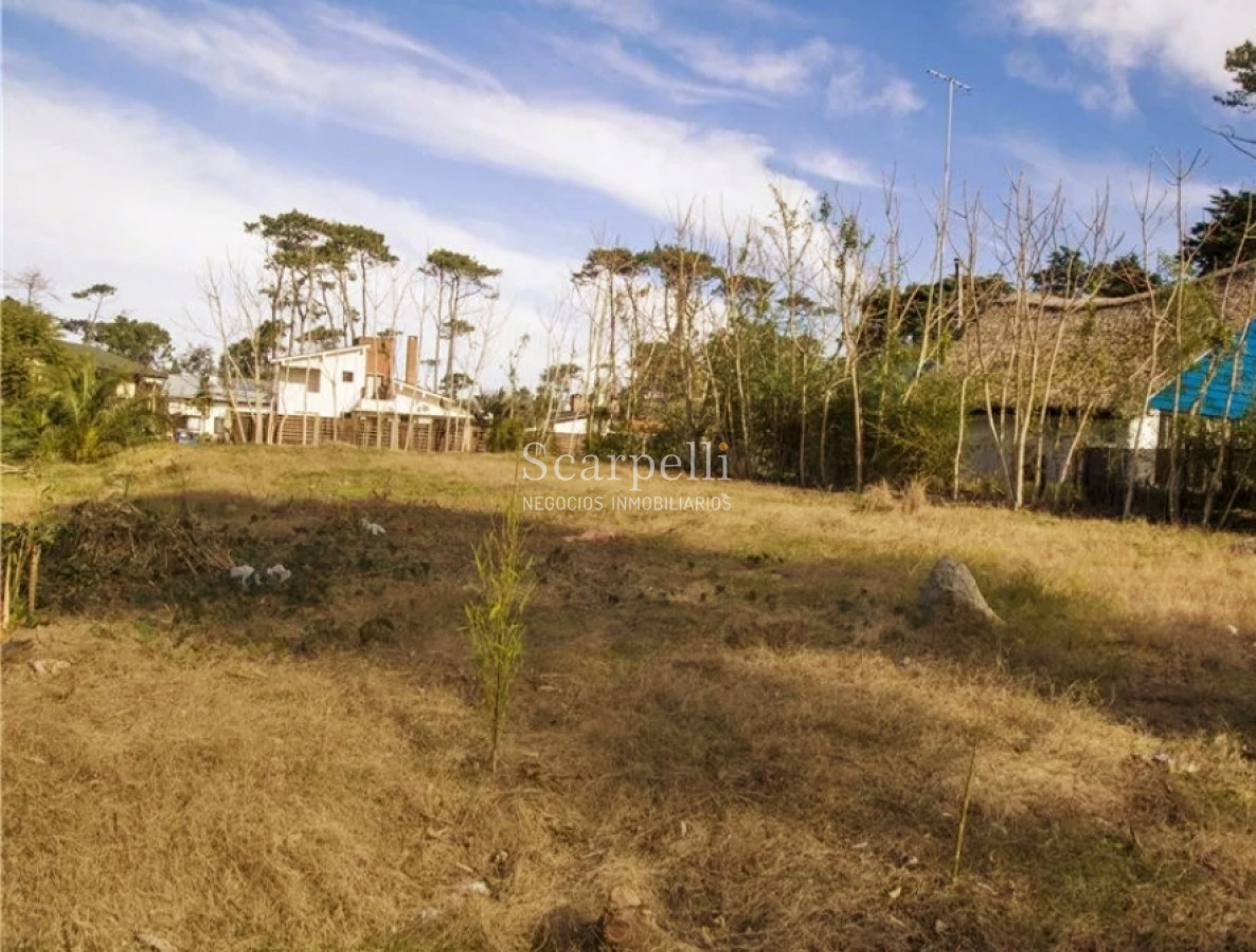 Terreno ID.12616 - Pinares Parada 32 Mansa: Terreno sobre Camino La Laguna  Orientado al norte y muy cerca de la Rambla