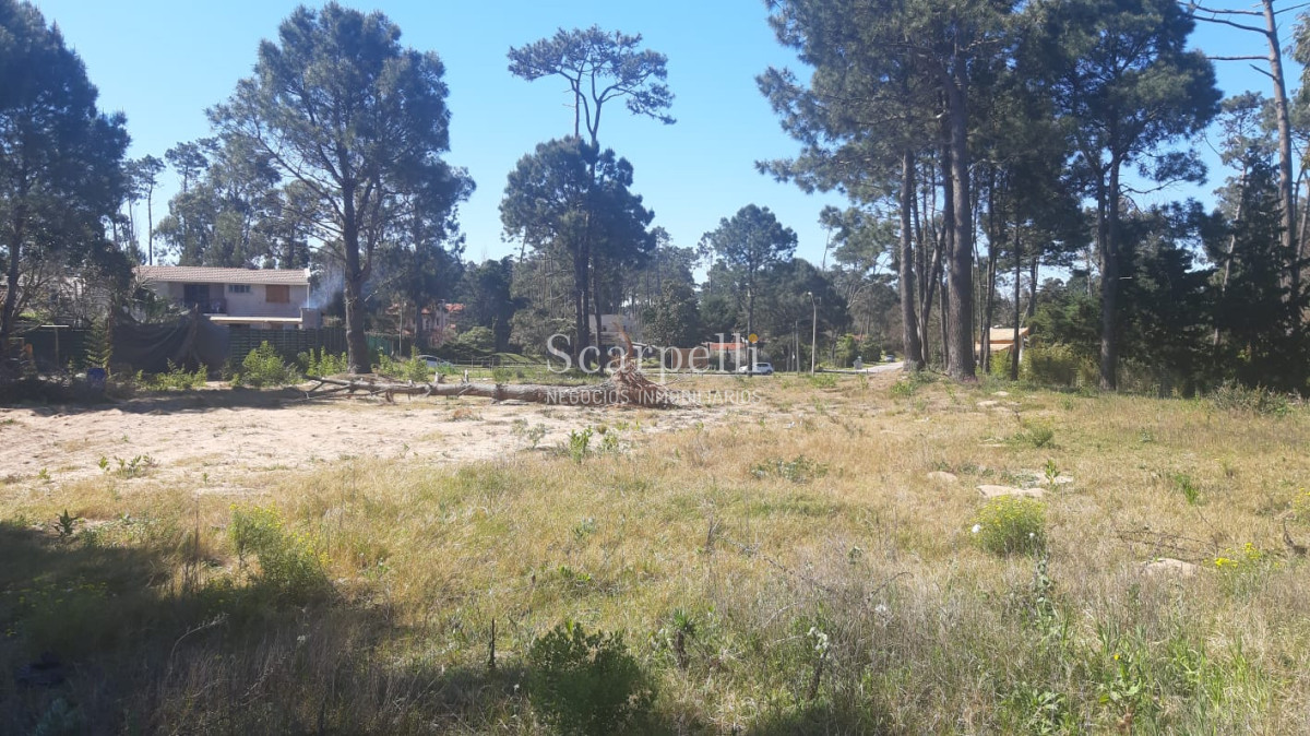 Terreno ID.12860 - Parada 34 Playa Mansa con frente a Cno. a la Laguna 12.800 m2 con salida a 3 calles y a 100 mts. de la Rambla.-