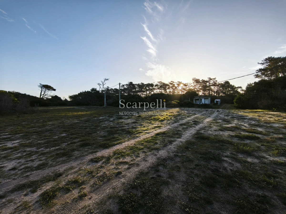 Terreno ID.50617 - Venta Terreno El Caracol Rocha prox. Puente Laguna Garzón