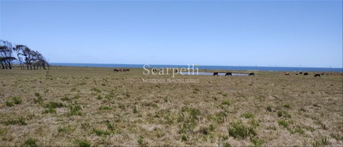 Terreno ID.55 - Venta Terreno Oceanico Rocha Pueblo Nuevo Proximo La Pedrer