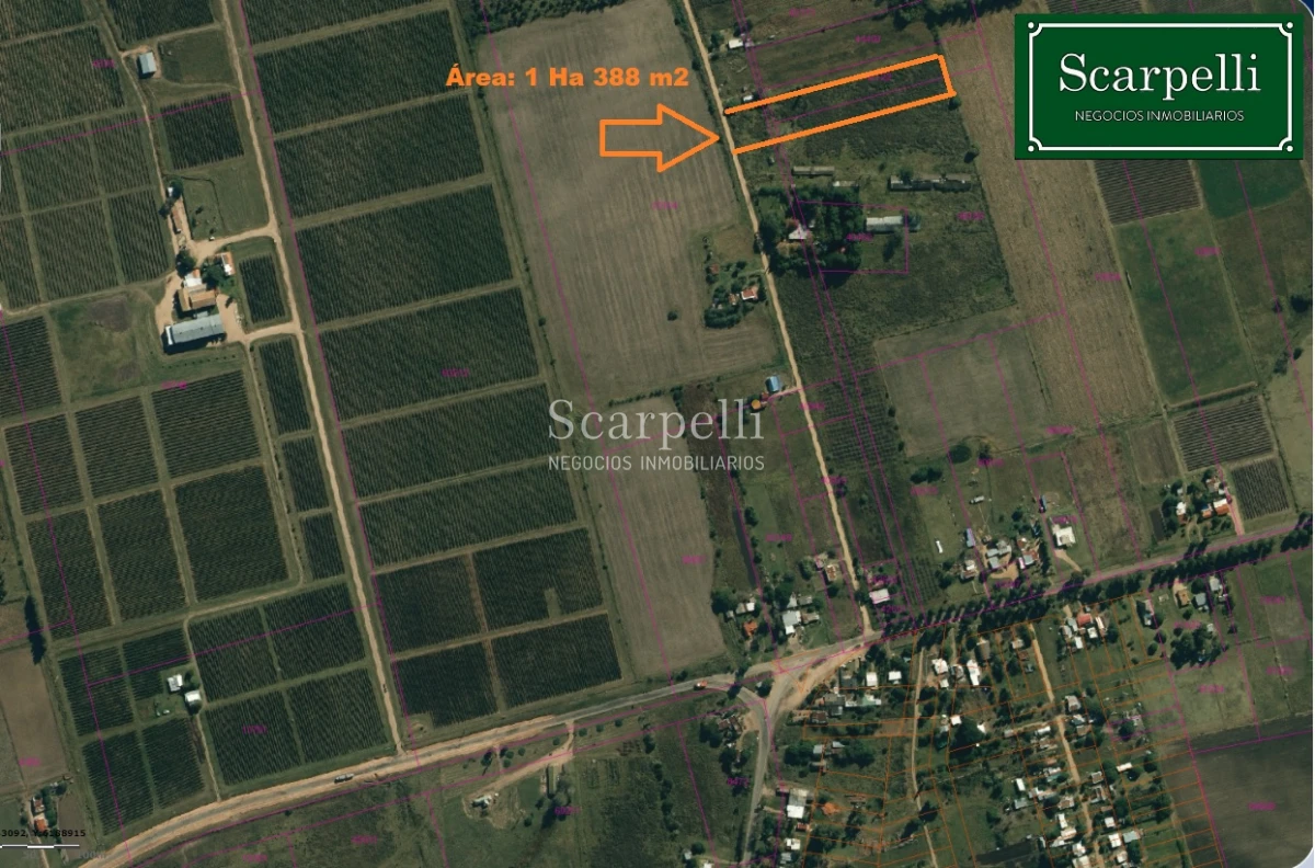 Terreno ID.33844 - VENTA TERRENO DEPARTAMENTO de CANELONES 1 HÁ  388 m2       EMPALME RUTAS Ruta 81 con Ruta 62 .-