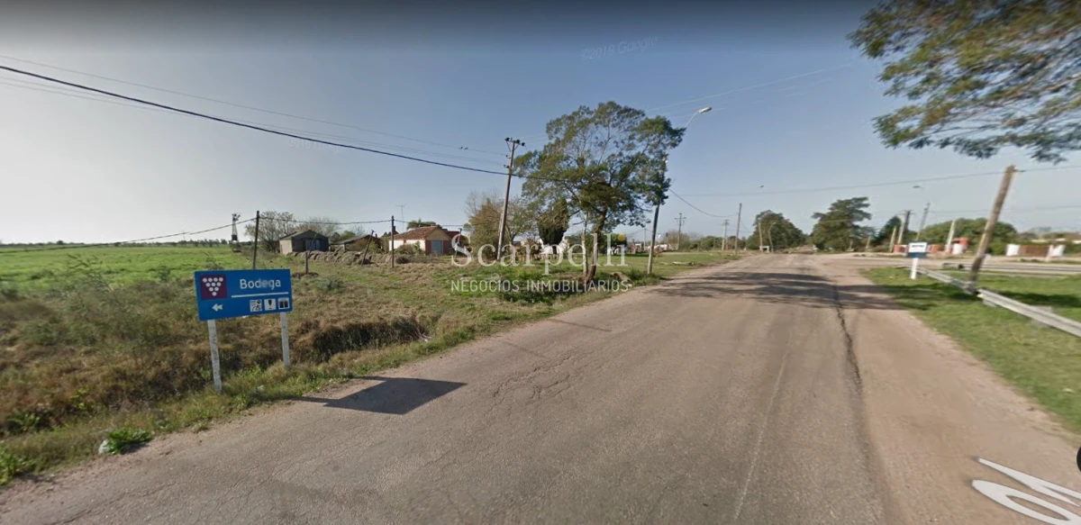 Terreno ID.33844 - VENTA TERRENO DEPARTAMENTO de CANELONES 1 HÁ  388 m2       EMPALME RUTAS Ruta 81 con Ruta 62 .-