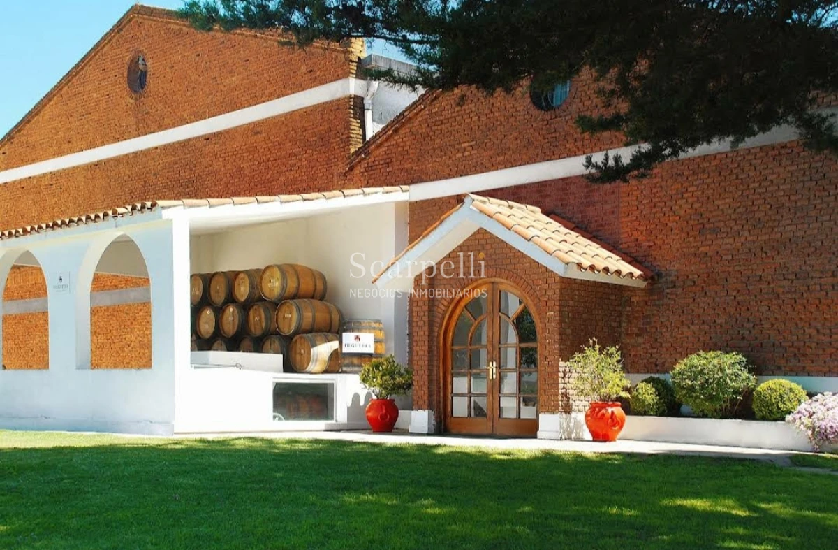 Terreno ID.33844 - VENTA TERRENO DEPARTAMENTO de CANELONES 1 HÁ  388 m2       EMPALME RUTAS Ruta 81 con Ruta 62 .-