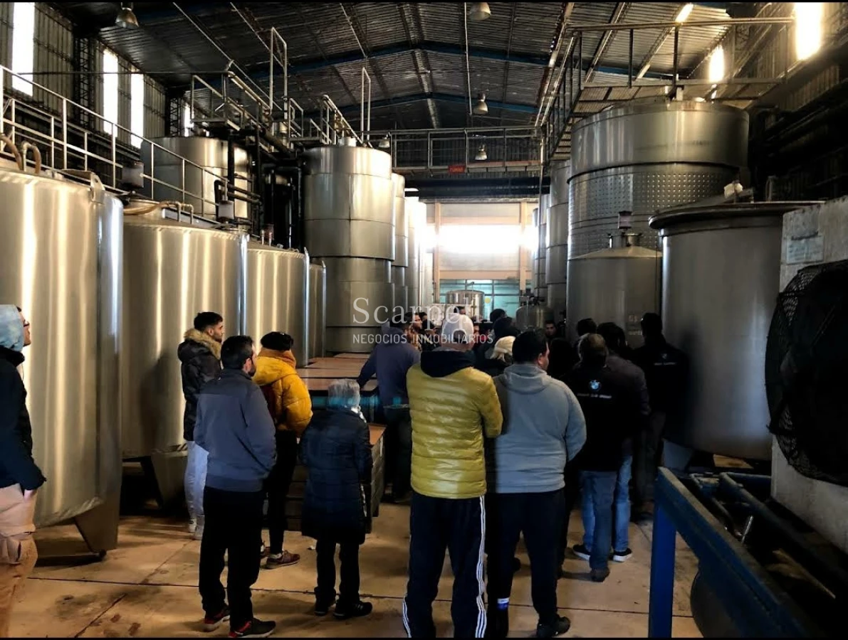 Terreno ID.33844 - VENTA TERRENO DEPARTAMENTO de CANELONES 1 HÁ  388 m2       EMPALME RUTAS Ruta 81 con Ruta 62 .-