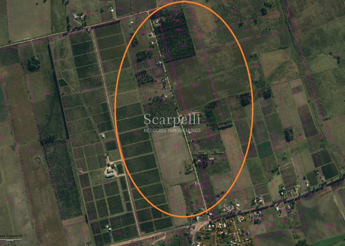 Terreno ID.33844 - VENTA TERRENO DEPARTAMENTO de CANELONES 1 HÁ  388 m2       EMPALME RUTAS Ruta 81 con Ruta 62 .-
