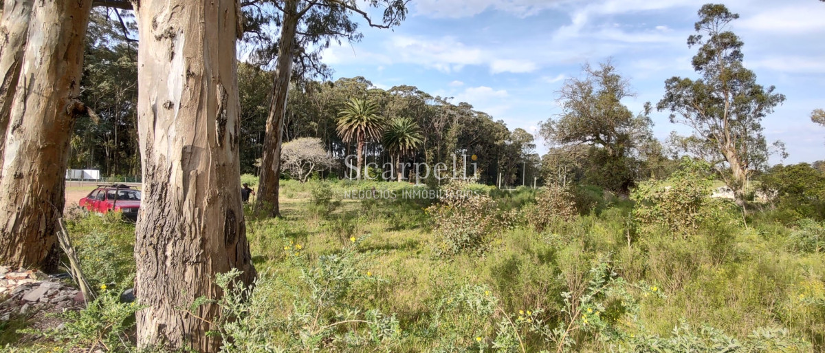 Terreno ID.40433 - Importante Terreno sobre Cno. Lussich esq. Cno al Viejo Hospital  P. 45 Mansa