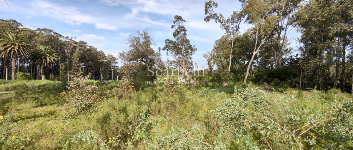 Terreno ID.40433 - Importante Terreno sobre Cno. Lussich esq. Cno al Viejo Hospital  P. 45 Mansa