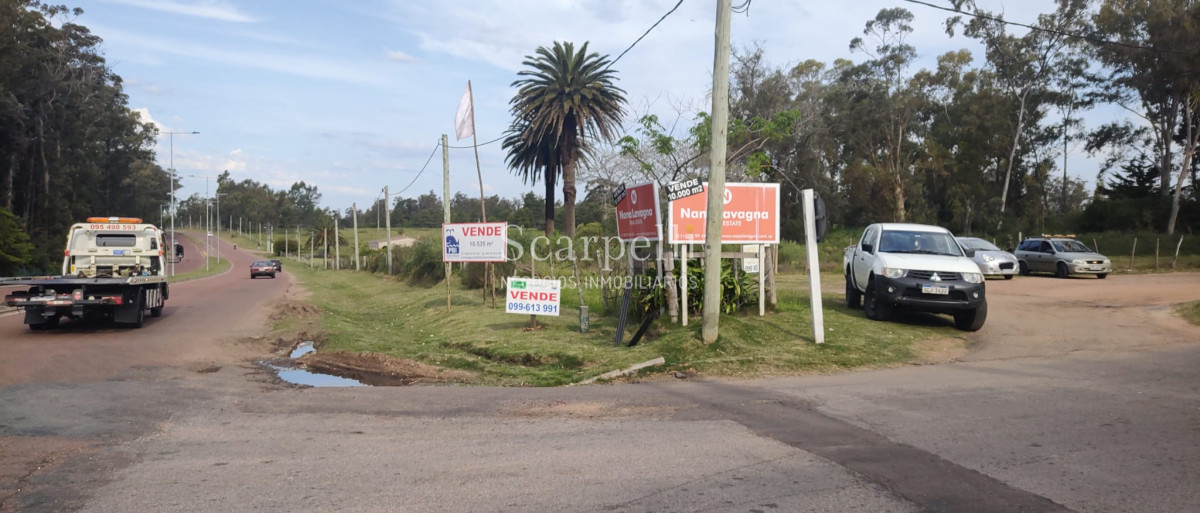 Terreno ID.40433 - Importante Terreno sobre Cno. Lussich esq. Cno al Viejo Hospital  P. 45 Mansa