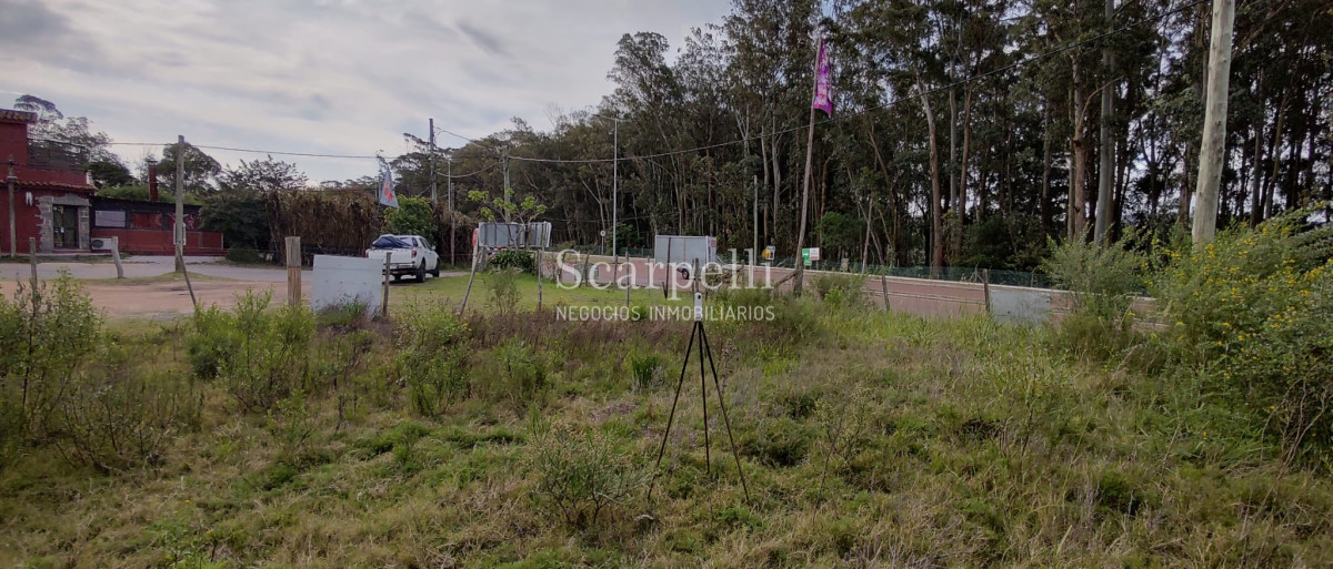 Terreno ID.40433 - Importante Terreno sobre Cno. Lussich esq. Cno al Viejo Hospital  P. 45 Mansa