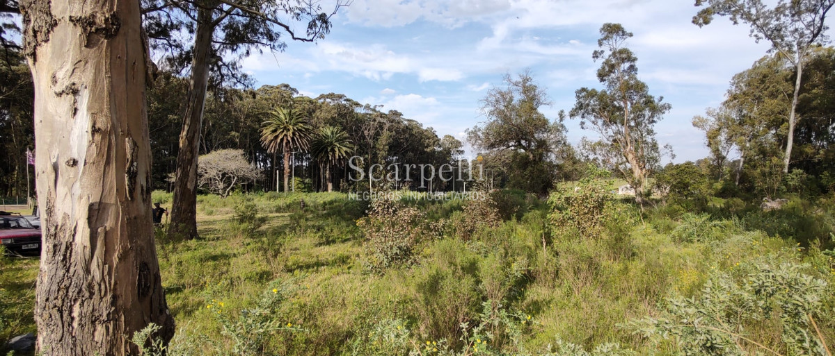 Terreno ID.40433 - Importante Terreno sobre Cno. Lussich esq. Cno al Viejo Hospital  P. 45 Mansa