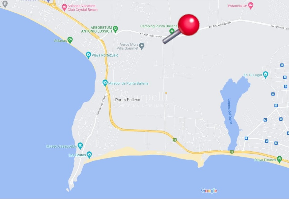 Terreno ID.40433 - Importante Terreno sobre Cno. Lussich esq. Cno al Viejo Hospital  P. 45 Mansa