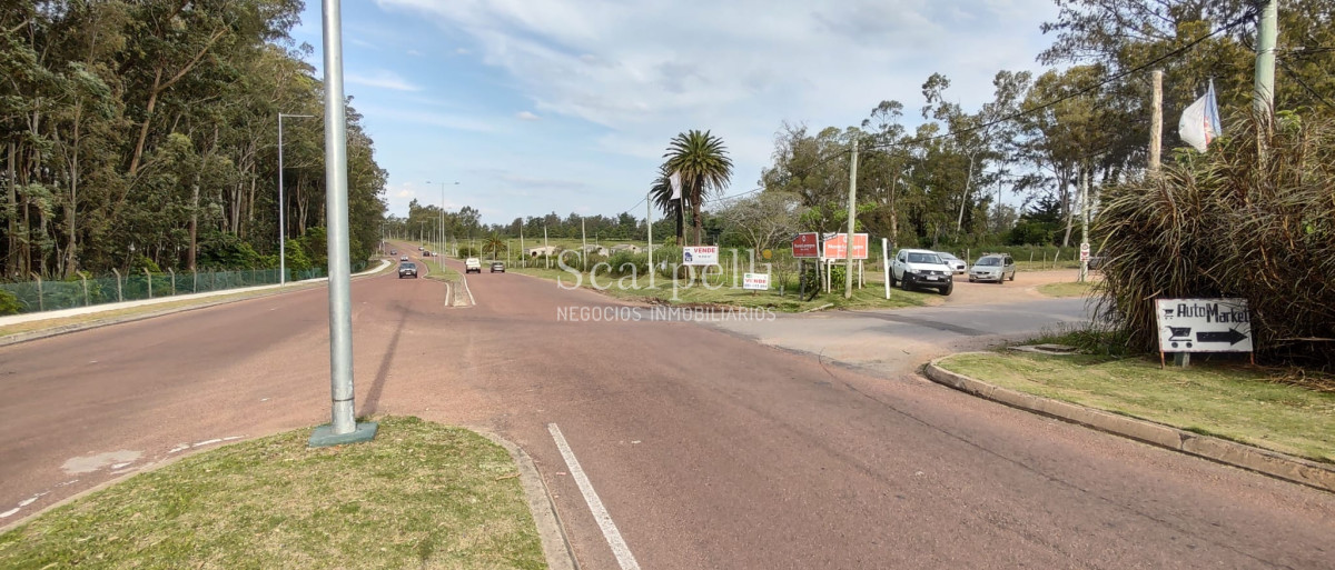 Terreno ID.40433 - Importante Terreno sobre Cno. Lussich esq. Cno al Viejo Hospital  P. 45 Mansa