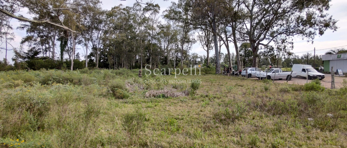 Terreno ID.40433 - Importante Terreno sobre Cno. Lussich esq. Cno al Viejo Hospital  P. 45 Mansa