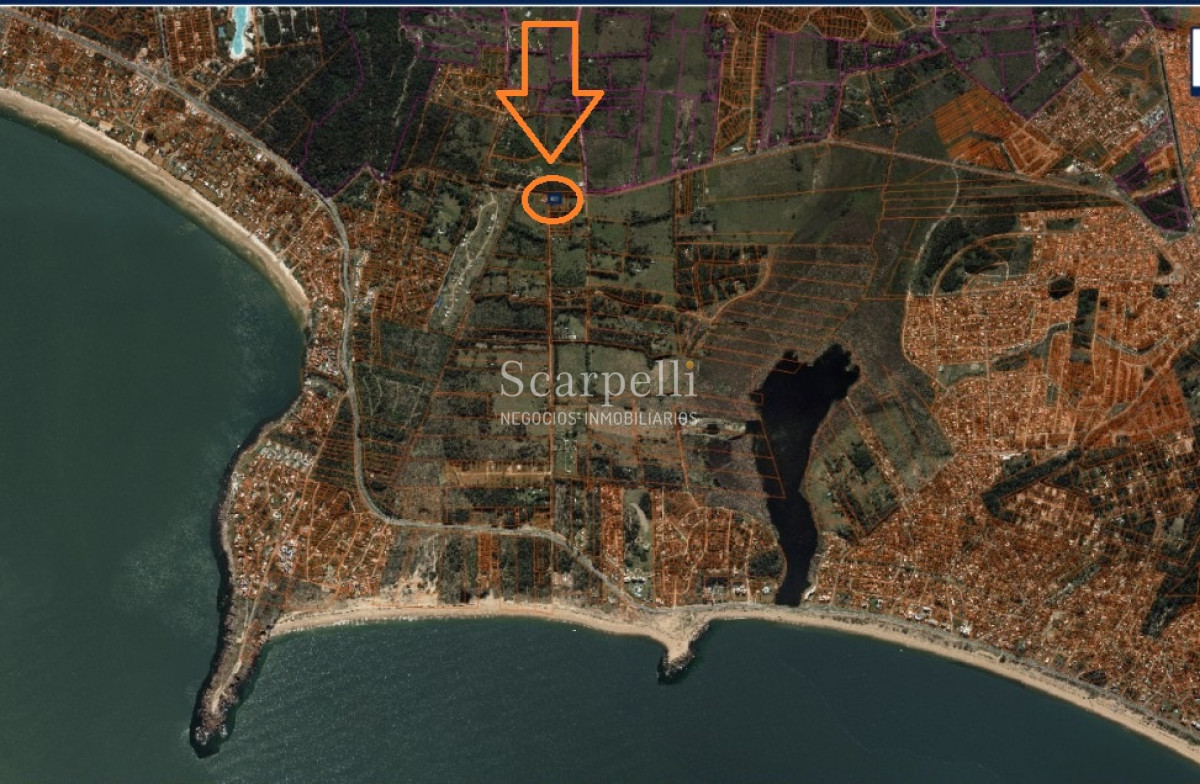 Terreno ID.40433 - Importante Terreno sobre Cno. Lussich esq. Cno al Viejo Hospital  P. 45 Mansa