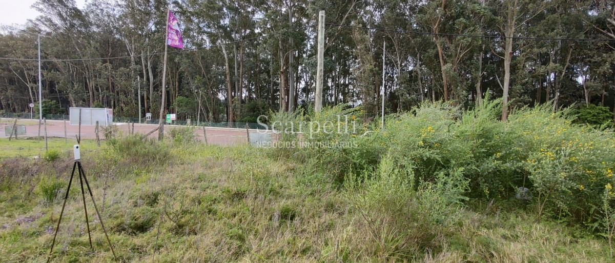 Terreno ID.40433 - Importante Terreno sobre Cno. Lussich esq. Cno al Viejo Hospital  P. 45 Mansa