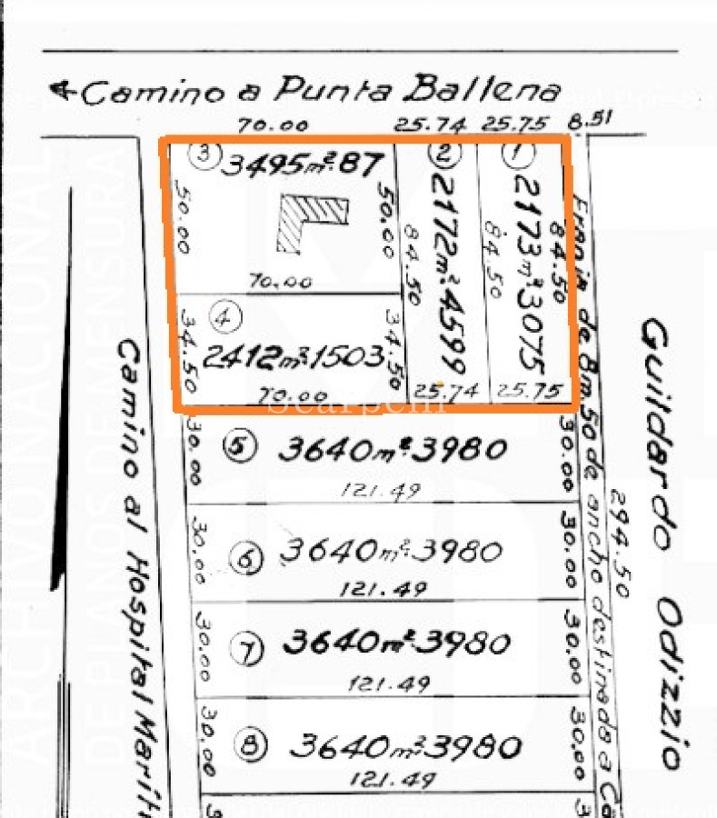 Terreno ID.40433 - Importante Terreno sobre Cno. Lussich esq. Cno al Viejo Hospital  P. 45 Mansa