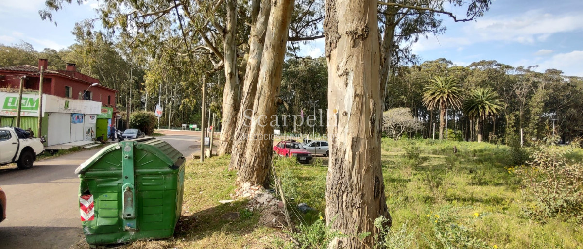 Terreno ID.40433 - Importante Terreno sobre Cno. Lussich esq. Cno al Viejo Hospital  P. 45 Mansa