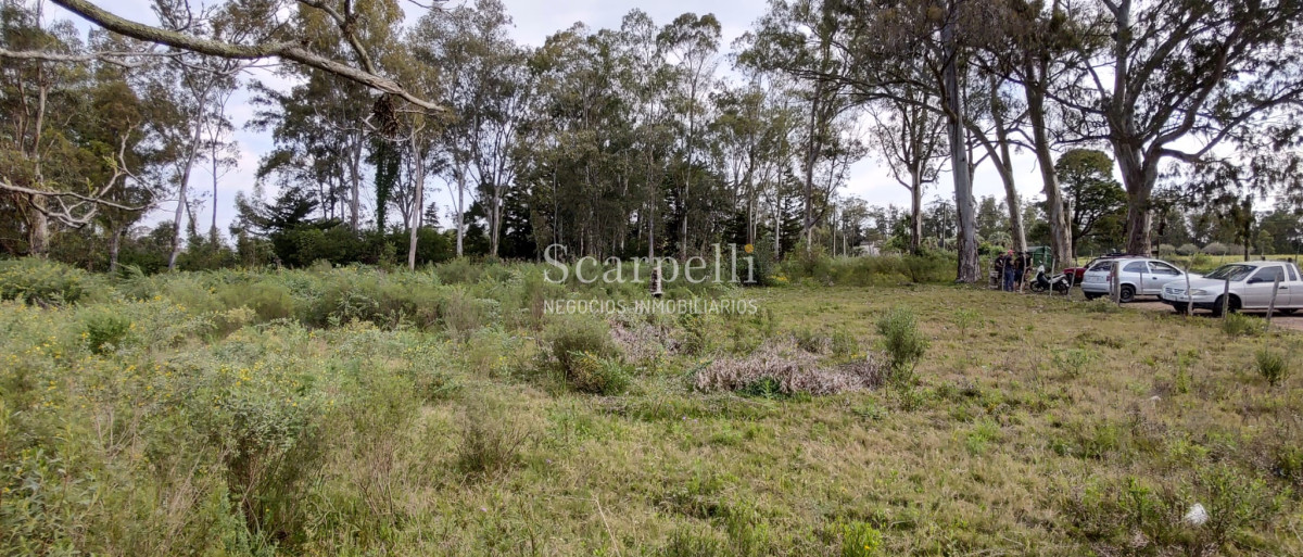 Terreno ID.40433 - Importante Terreno sobre Cno. Lussich esq. Cno al Viejo Hospital  P. 45 Mansa