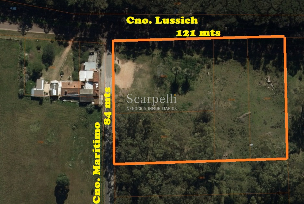 Terreno ID.40433 - Importante Terreno sobre Cno. Lussich esq. Cno al Viejo Hospital  P. 45 Mansa