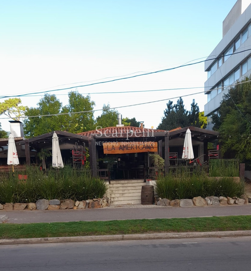 Terreno ID.43119 - 2 Excelentes padrones con altura Sobre Pedragosa Sierra muy próximo Shopping Punta.-