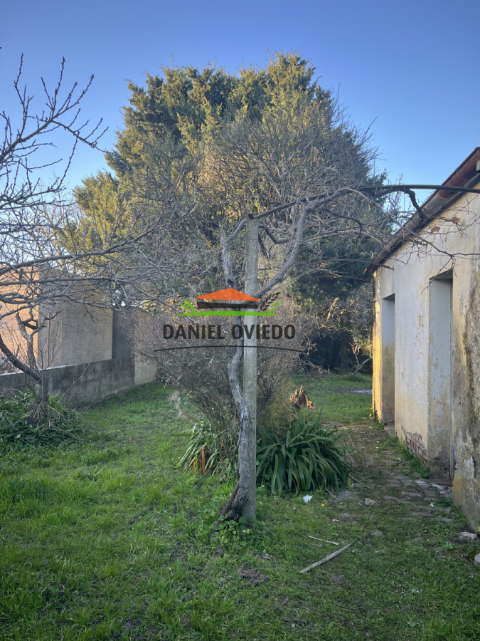 Casa ID.233/Casa-en-venta-en-calle-Rodó-enfrente-a-escuela-40. - Casa en venta en calle Rodó enfrente a escuela 40.
