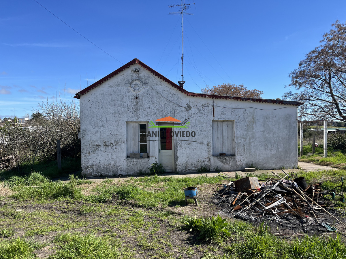 Casa ID.246/Casona-antigua-ideal-para-reciclar-en-2-aptos-para-renta. - Casona antigua ideal para reciclar en 2 aptos para renta.