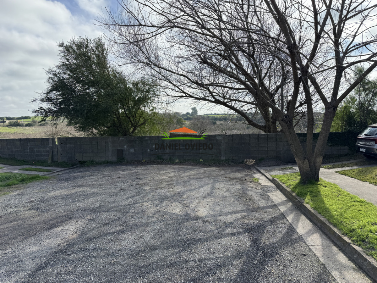 Casa ID.397/Casa-de-2-dormitorios-en-alquiler-en-Nueva-Helvecia-|-Excelente-ubicaci - Casa de 2 dormitorios en alquiler en Nueva Helvecia | Excelente ubicación