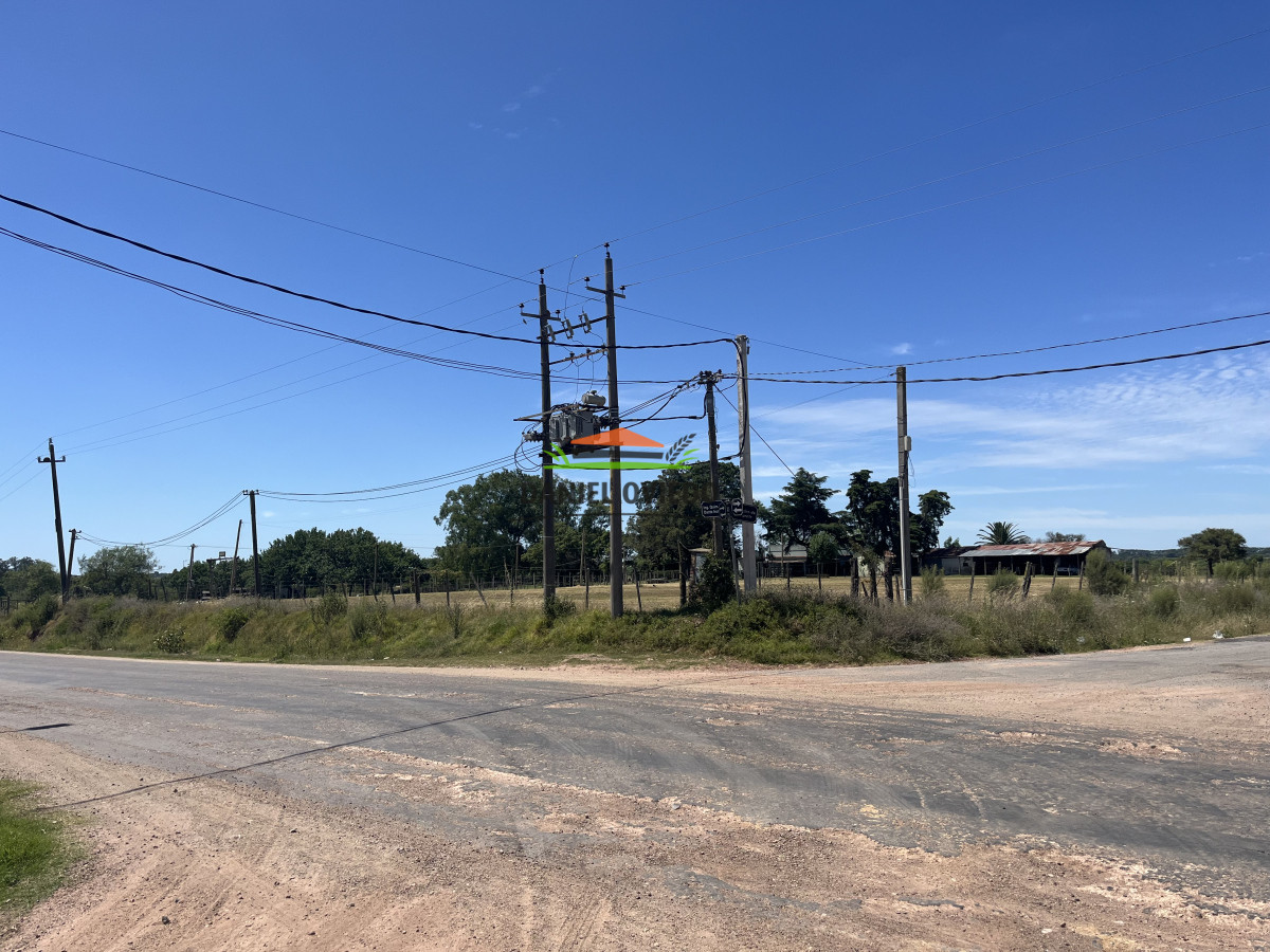 Galpón ID.157 - Excelente Local Comercial multiuso en venta con gran predio de 7.321 m2.
