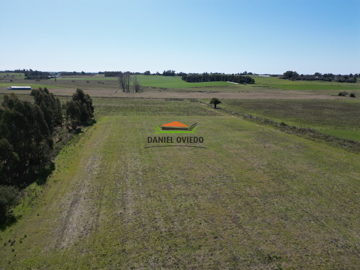 Chacra ID.132 - Muy buena chacra en venta en una de las mejores zonas de Nueva Helvecia. RESERVADA!!