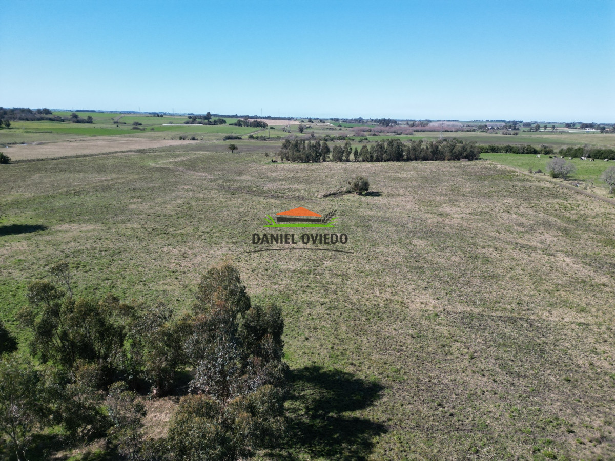 Chacra ID.132 - Muy buena chacra en venta en una de las mejores zonas de Nueva Helvecia. RESERVADA!!