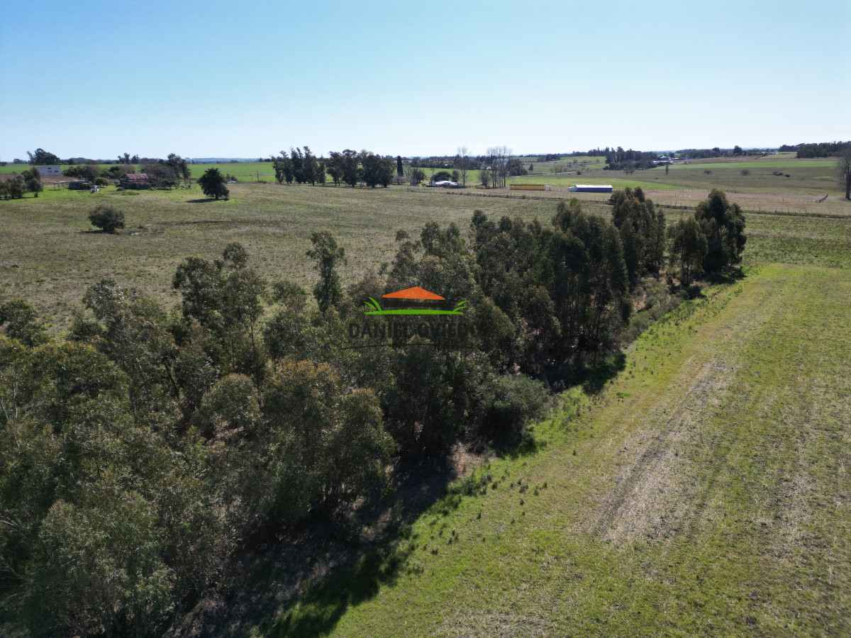 Chacra ID.132 - Muy buena chacra en venta en una de las mejores zonas de Nueva Helvecia. RESERVADA!!