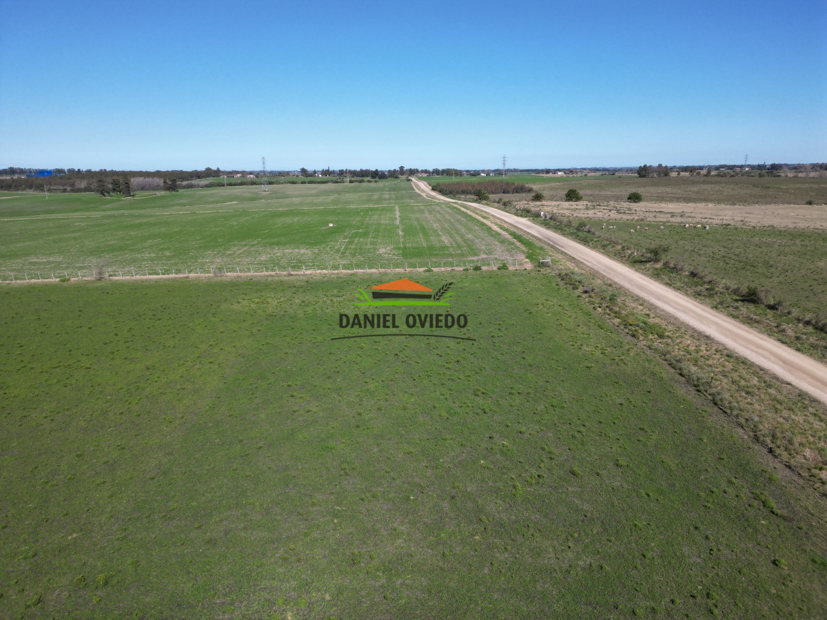 Chacra ID.132 - Muy buena chacra en venta en una de las mejores zonas de Nueva Helvecia. RESERVADA!!