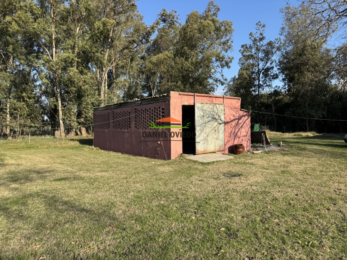 Chacra ID.399/✨-Importante-chacra-de-3,2-hect - ✨ Importante chacra de 3,2 hectáreas a minutos del centro de Nueva Helvecia.