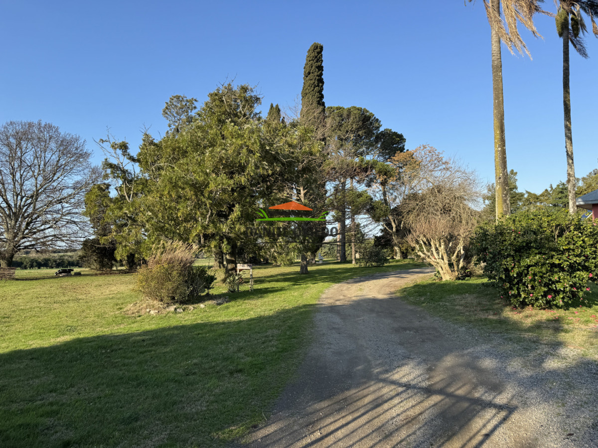 Chacra ID.399/✨-Importante-chacra-de-3,2-hect - ✨ Importante chacra de 3,2 hectáreas a minutos del centro de Nueva Helvecia.