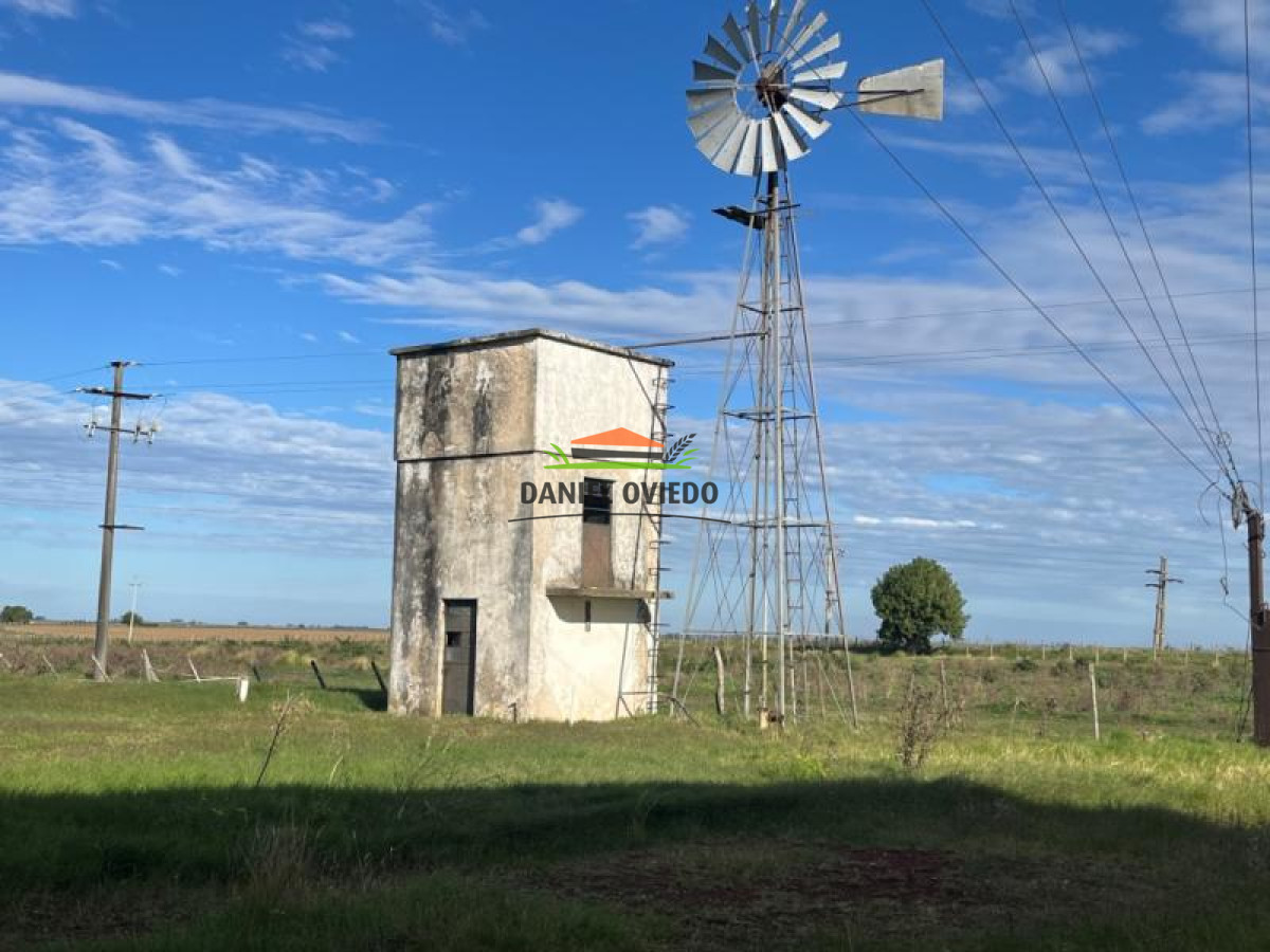 Chacra ID.45 - Planta de Silos en venta con frente a Ruta 12.