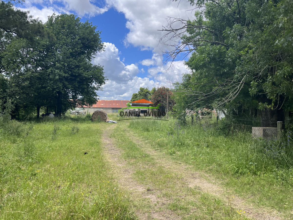 Chacra ID.314/Chacra-de-1,5-ha-con-Casa-a-Reciclar-y-F - Chacra de 1,5 ha con Casa a Reciclar y Fábrica en Excelente Punto - Nueva Helvecia