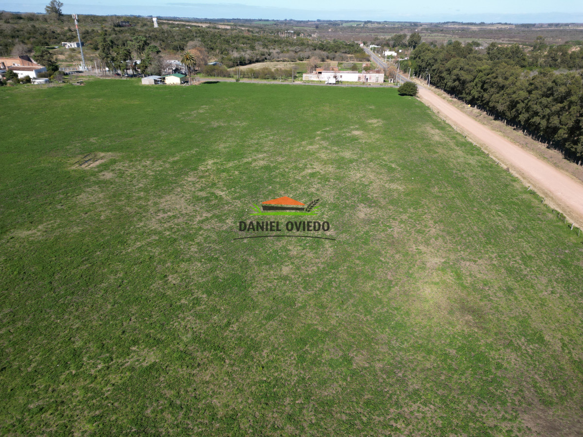 Chacra ID.240/Excelente-chacra-en-venta-con-3-casas-ubicada-a-5-km-de-Carmelo. - Excelente chacra en venta con 3 casas ubicada a 5 km de Carmelo.