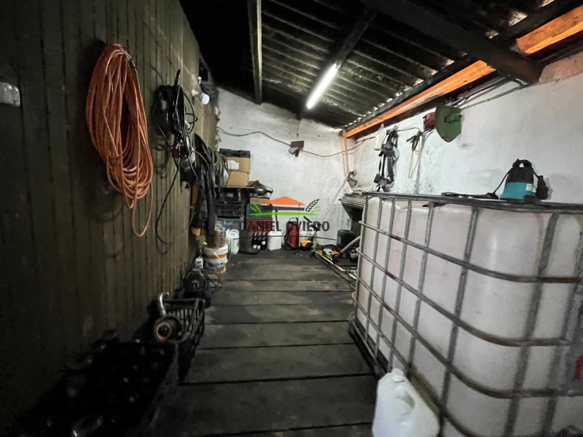 Chacra ID.425/Venta--de-Bodega,-Vi - Venta  de Bodega, Viñedo 11 Has y casas, en Toledo Chico.