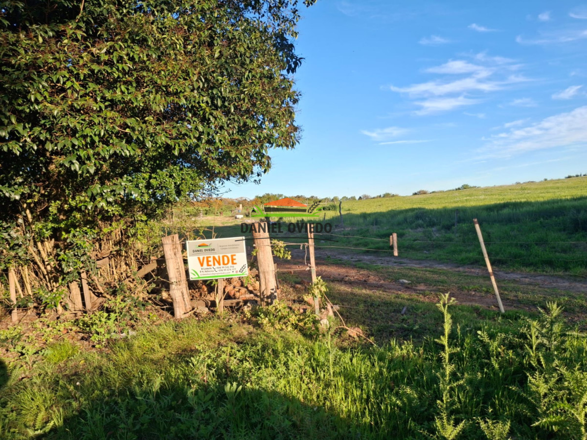 Chacra ID.423/🌿- - 🌿 ¡TU REFUGIO DE TRANQUILIDAD EN CARMELO! 🏡✨
