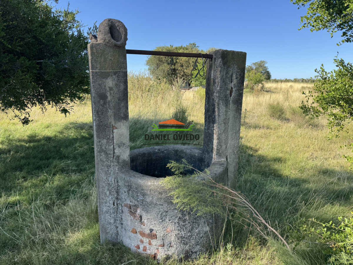 Chacra ID.344/Chacra-de-5,5-hect - Chacra de 5,5 hectáreas con agua en Cufré - Departamento de Colonia