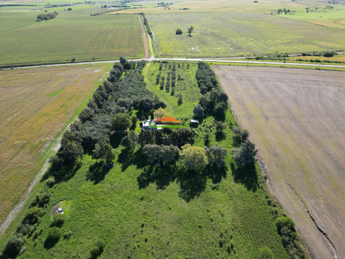 Chacra ID.382/Chacra-ideal-para-vivir-y-disfrutar-de-la-naturaleza-con-casa,-olivos-y-5-has-en-venta,-Carmelo. - Chacra ideal para vivir y disfrutar de la naturaleza con casa, olivos y 5 has en venta, Carmelo.