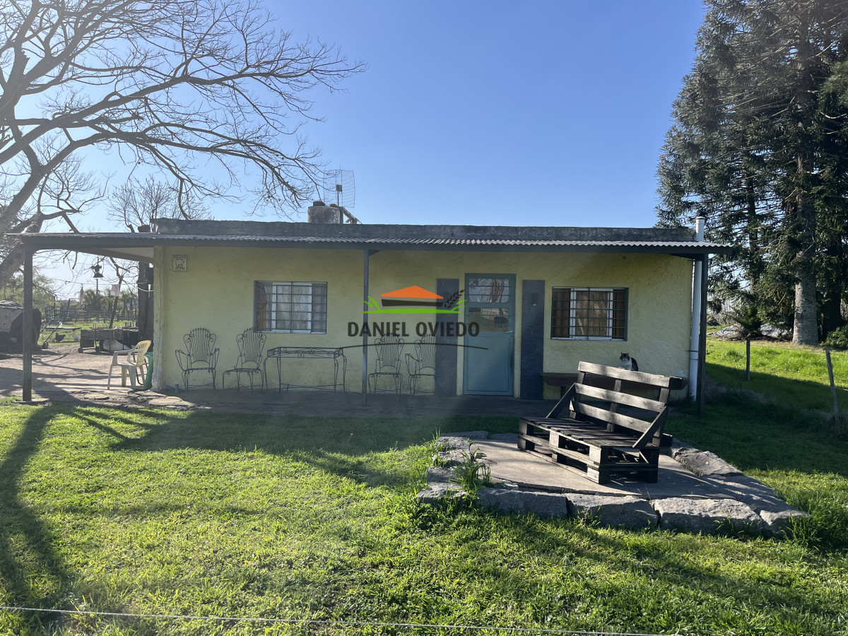 Chacra ID.138 - Chacra en venta en la entrada de Carmelo, pegada a importantes viveros de la zona.