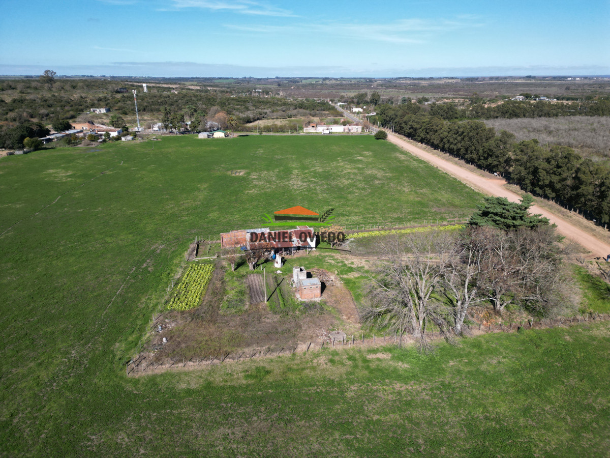 Chacra ID.240/Excelente-chacra-en-venta-con-3-casas-ubicada-a-5-km-de-Carmelo. - Excelente chacra en venta con 3 casas ubicada a 5 km de Carmelo.