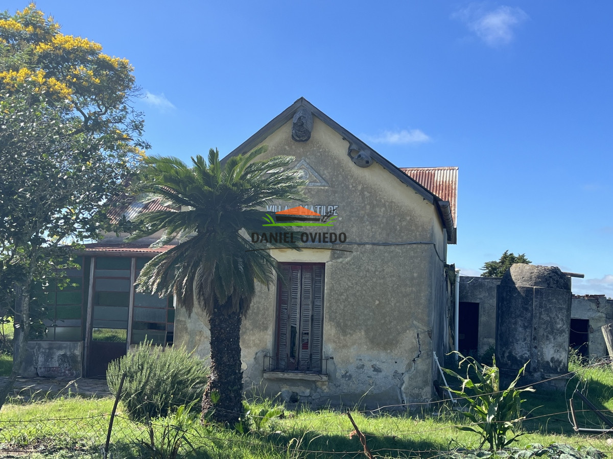 Chacra ID.133 - Muy buena ubicación chacra en venta en una de las mejores zonas de Nueva Helvecia.