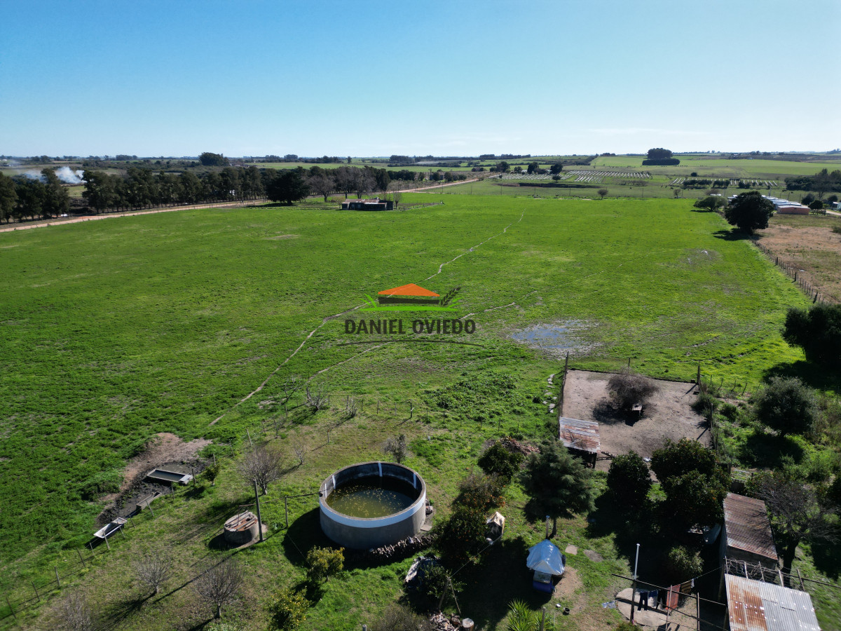 Chacra ID.240/Excelente-chacra-en-venta-con-3-casas-ubicada-a-5-km-de-Carmelo. - Excelente chacra en venta con 3 casas ubicada a 5 km de Carmelo.